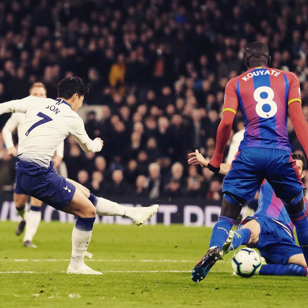 球迷将对球 球迷将对球