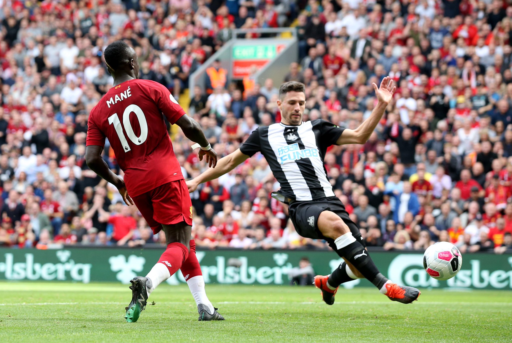 在为未来的 在为未来的